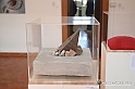 VBS_4162 - Paratissima 2021 - 17.ma Edizione